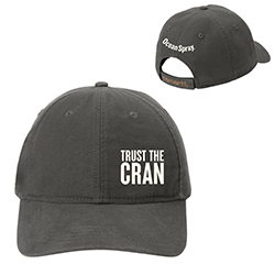 NEW - Carhartt Cotton Canvas Cap