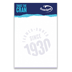 NEW - Sticky Noted 4" X 6" Pad