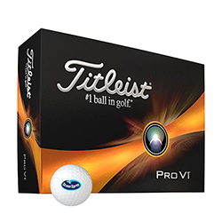 TITLEIST PRO V1 GOLF BALLS